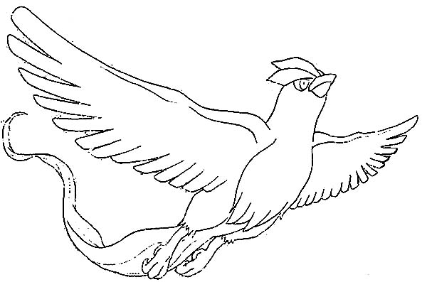 Articuno, : Articuno Picture Coloring Page