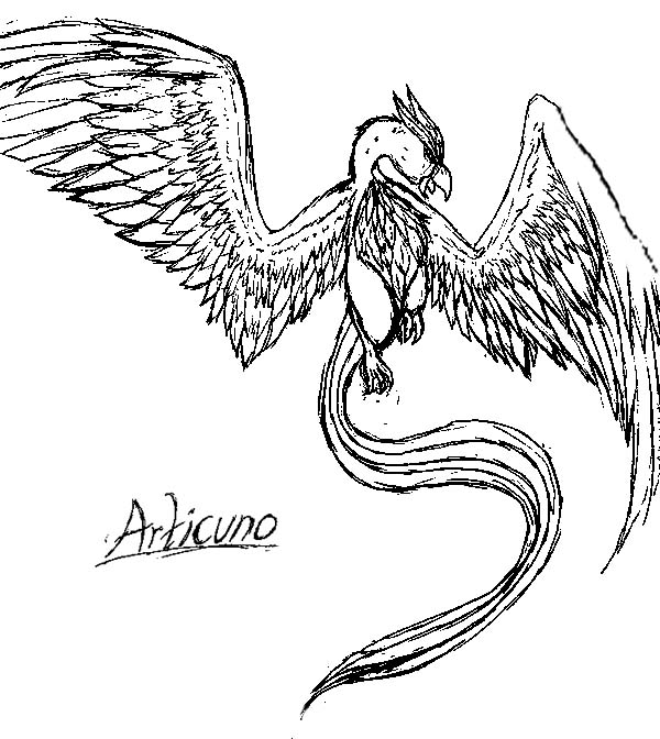 Articuno, : Skecth of Articuno Bird Coloring Page