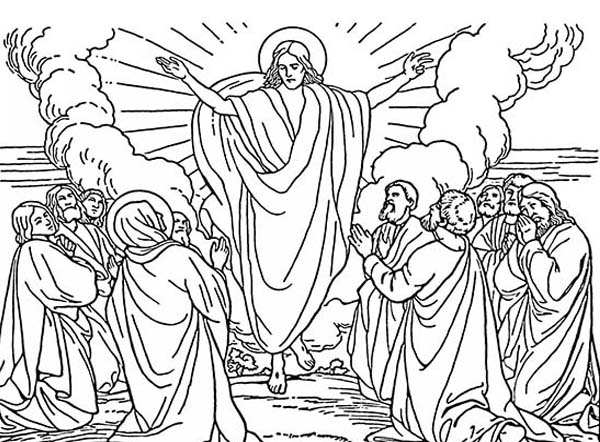 Disciples, : The Ascension Coloring Book Page
Free to Use for Personal use